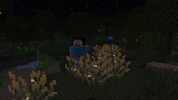 Новый вид куста светлячков