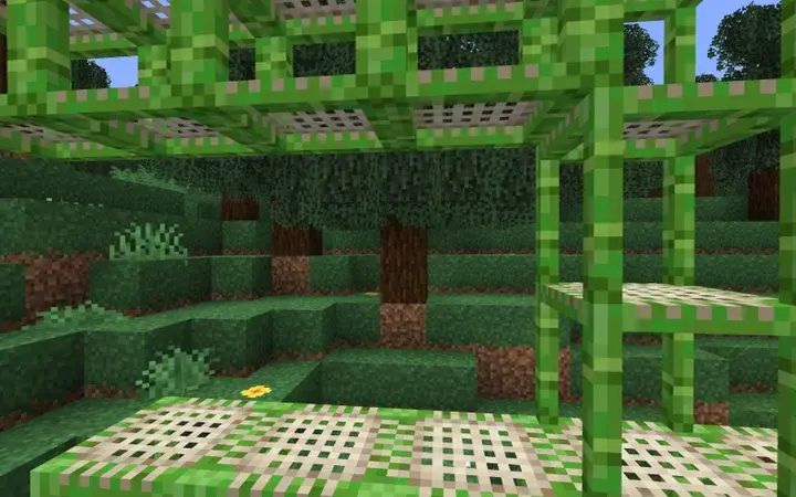 Множество зеленых бамбуковых подмостков