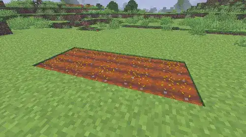 Анимация роста растений