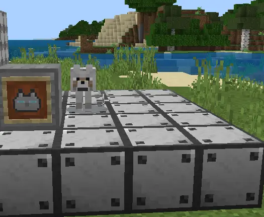 Предмет для животных