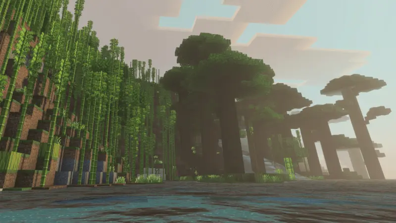 Джунгли рядом с реалистичной водой