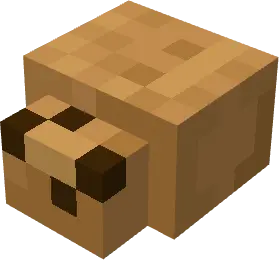 Песчаный клещ