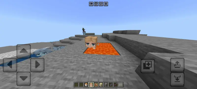 Новый вид лавомерки в лаве