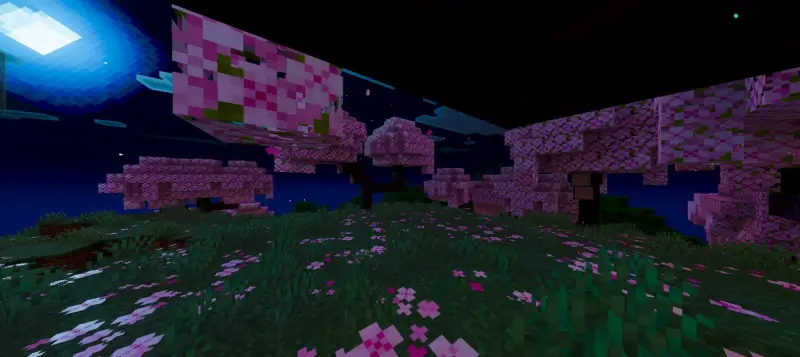 Новый вид деревьев вишни ночью