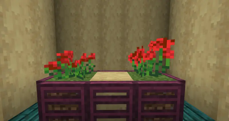 Разные вариации красного цветка