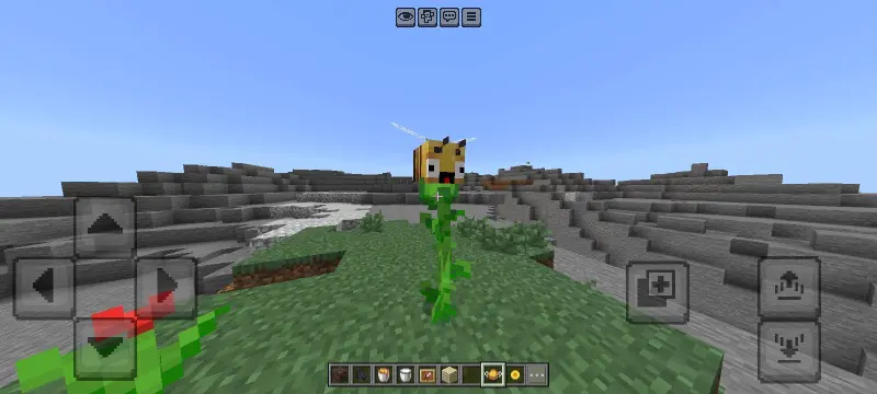 Новый вид пчелы