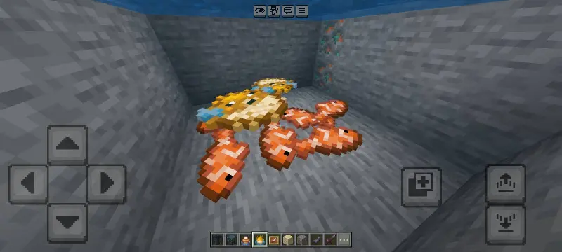 Новый вид рыбы