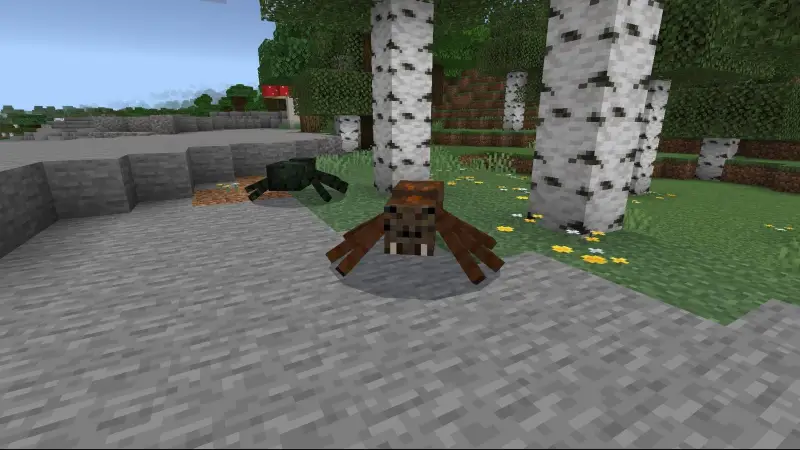 Другие новые виды пауков