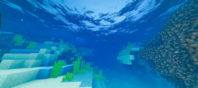 Новый вид под водой днём