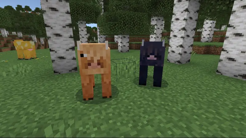 Новые виды коров