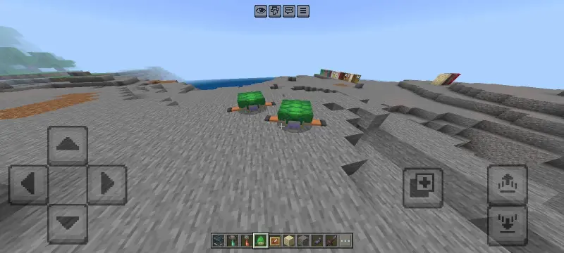 Новый вид черепах