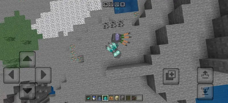 Новый вид спрутов