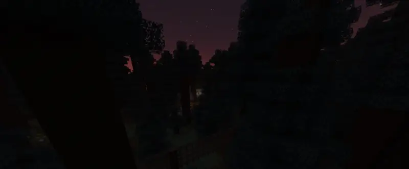 Лес перед ночью