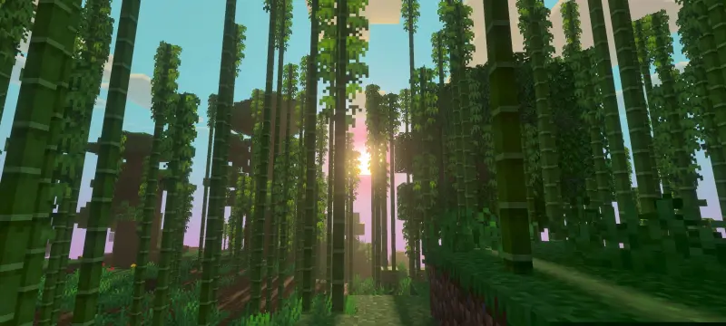 Яркие лучи солнца пробиваются сквозь бамбук