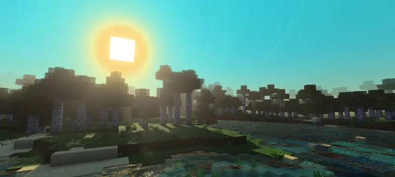 Яркое солнце над березовой рощей