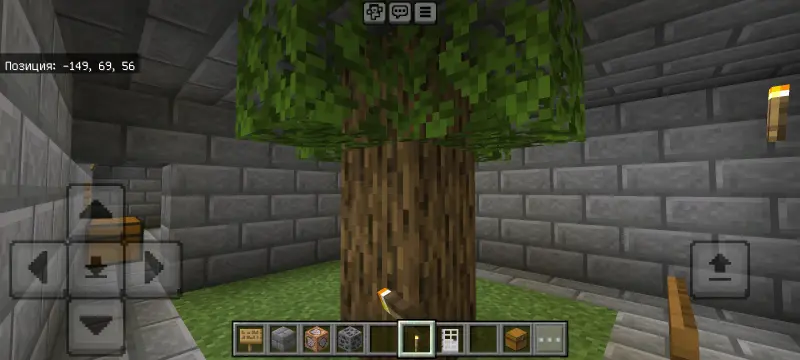 Дерево в комнате