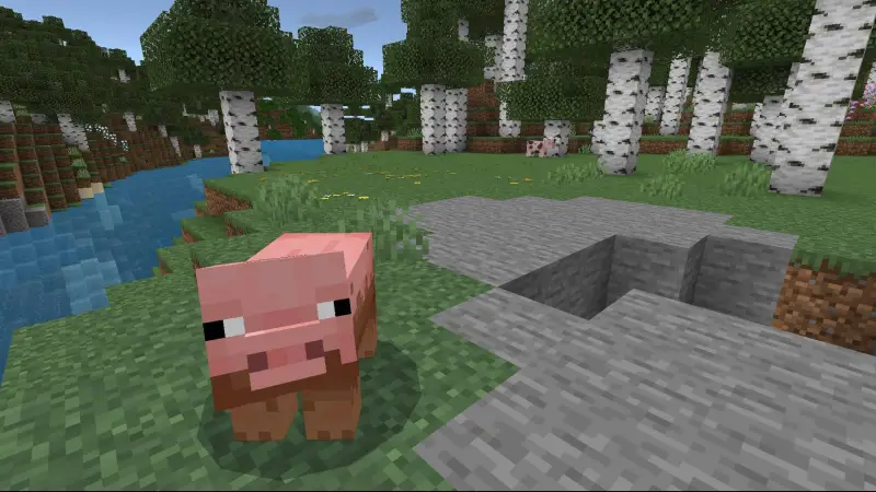 Грязная свинья