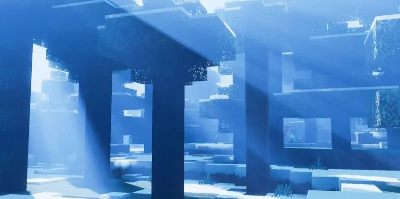 Холодный цвет лучшей в зимнем биоме