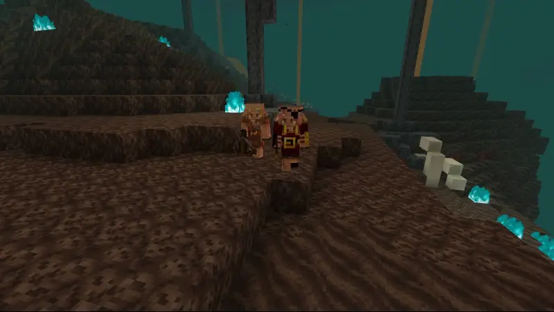 Пиглин пират с другого ракурса