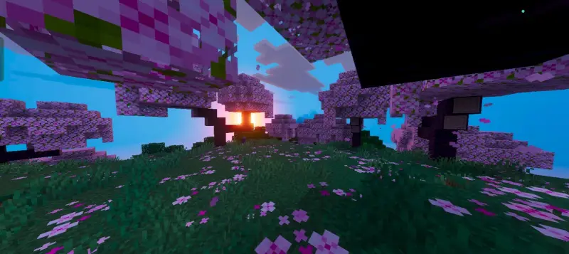 Новый вид деревьев вишни утром