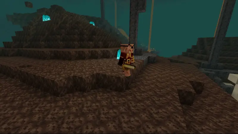 Пиглин пират