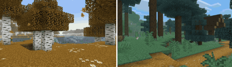 Новый вид лесов