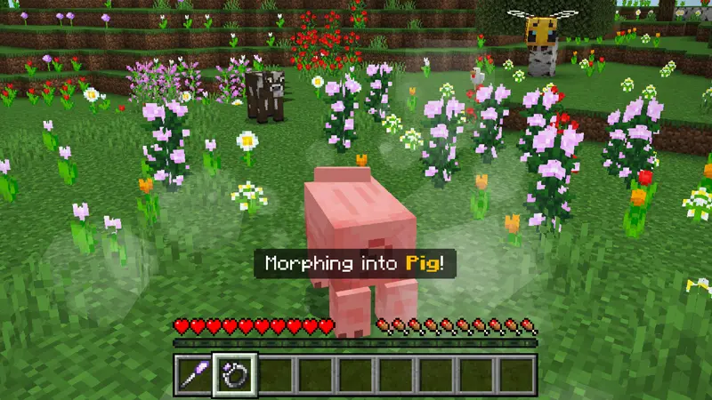 Скриншот Дополнение Morph Into Anything №1