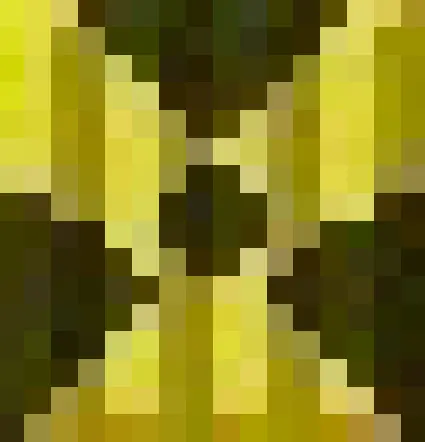 Ядерный динамит