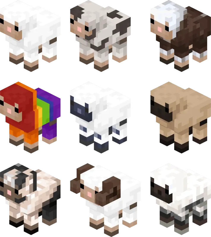 Множество ягнят с новыми текстурами