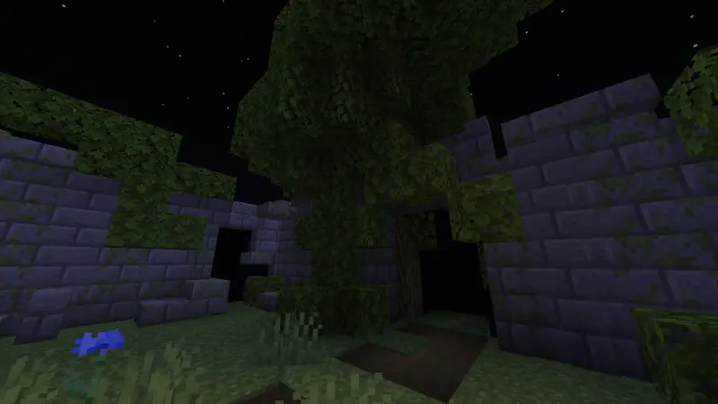 Забор ночью