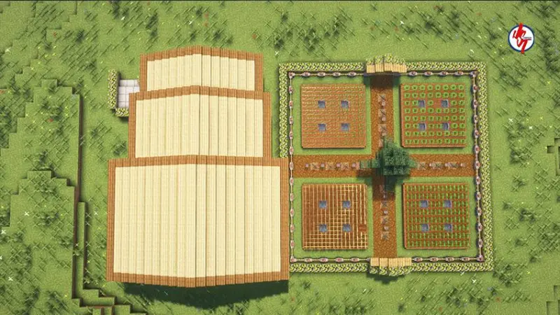 Вид с птичьего полета на дом и огород