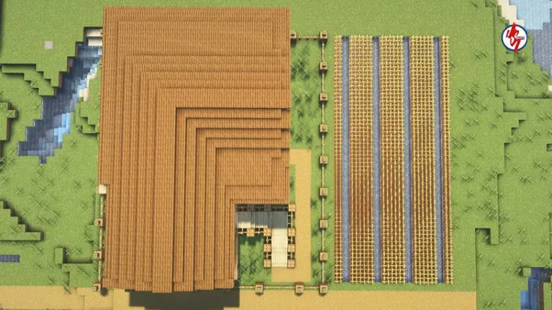Вид с птичьего полета на дом и огород