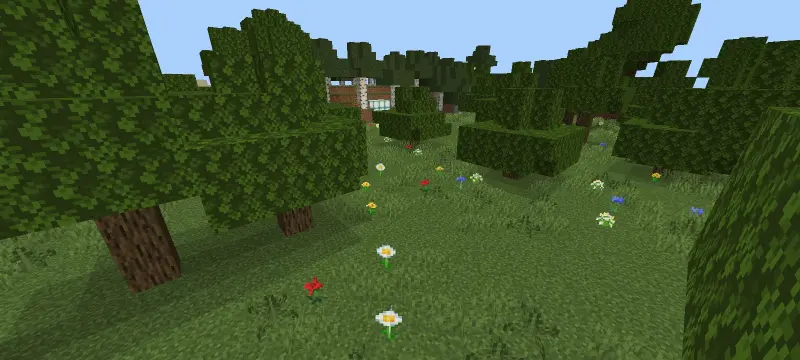 Цветы в лесу