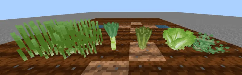 Выращивание нескольких новых зеленых культур