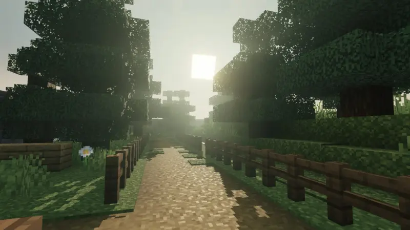 Тропинка в лесу