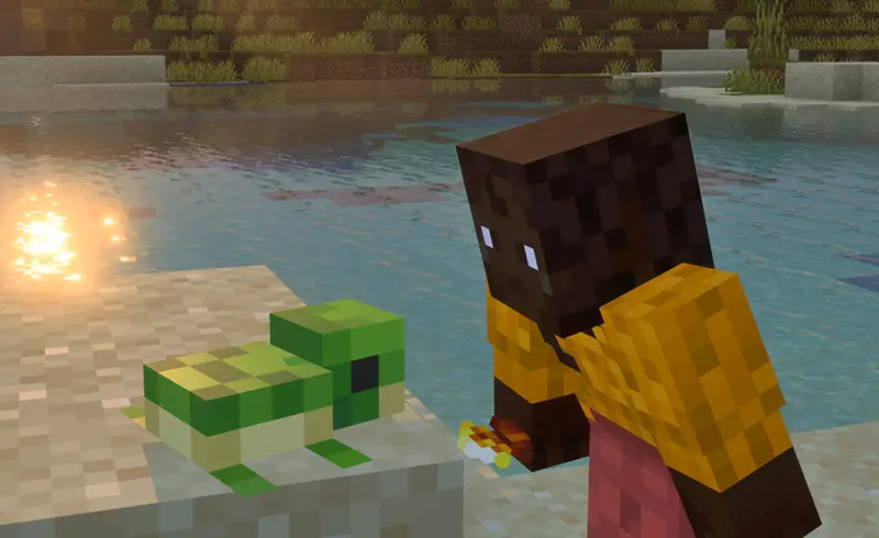 Золотой одуванчик и черепаха