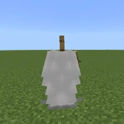 Элитры ангела