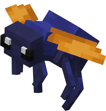 Жук