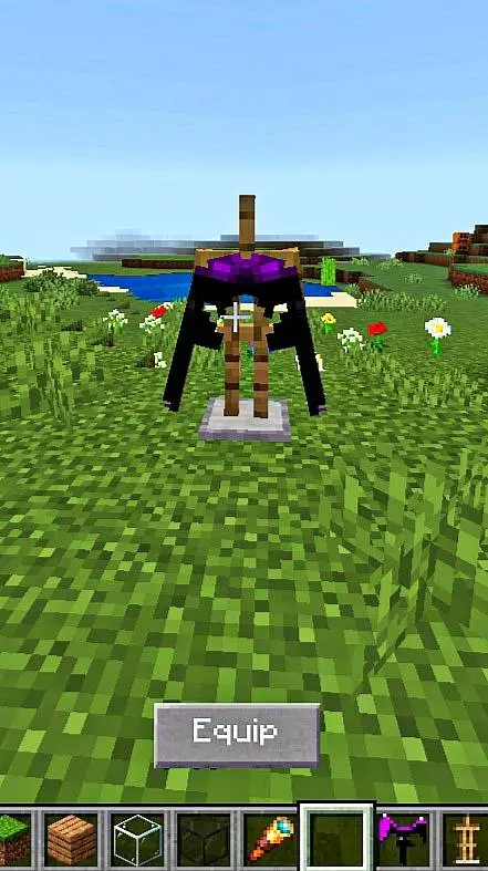 Эндер элитры