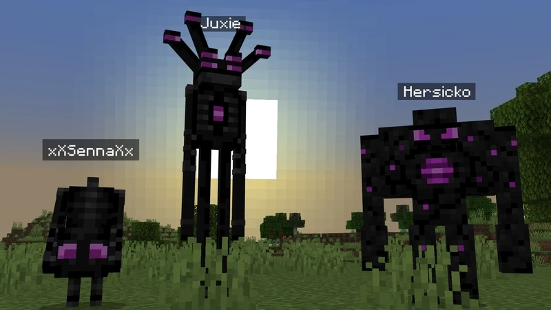 Скриншот Be An Enderman №1