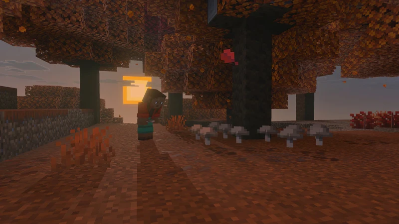 Player in the dappled forest near mushrooms