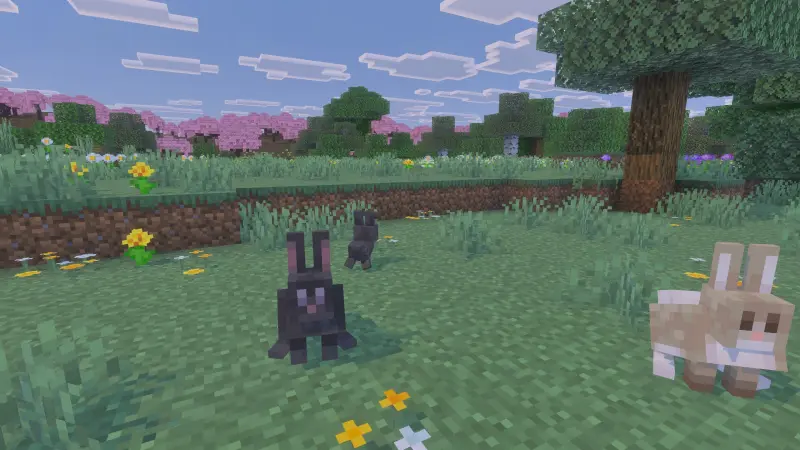 Rabbits on the island