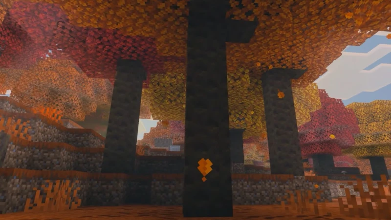 Dappled forest biome with poplars