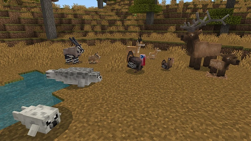 Скриншот Wilderness Add-On №10
