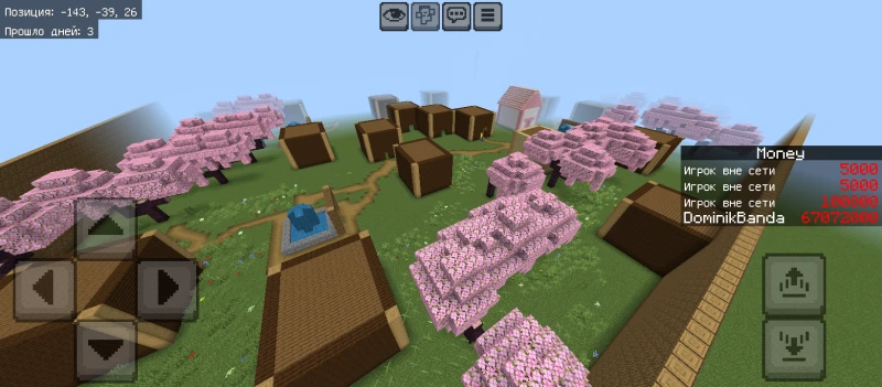 View of the village from above