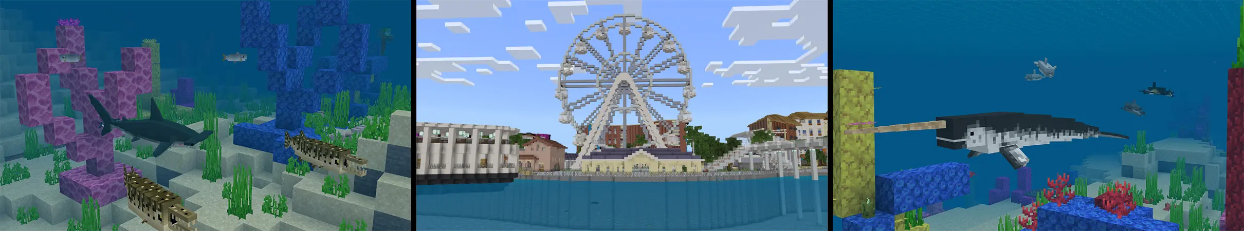 Sea Life Island panorama