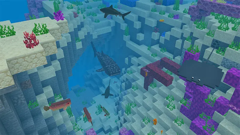 Скриншот Sea Life Island №3