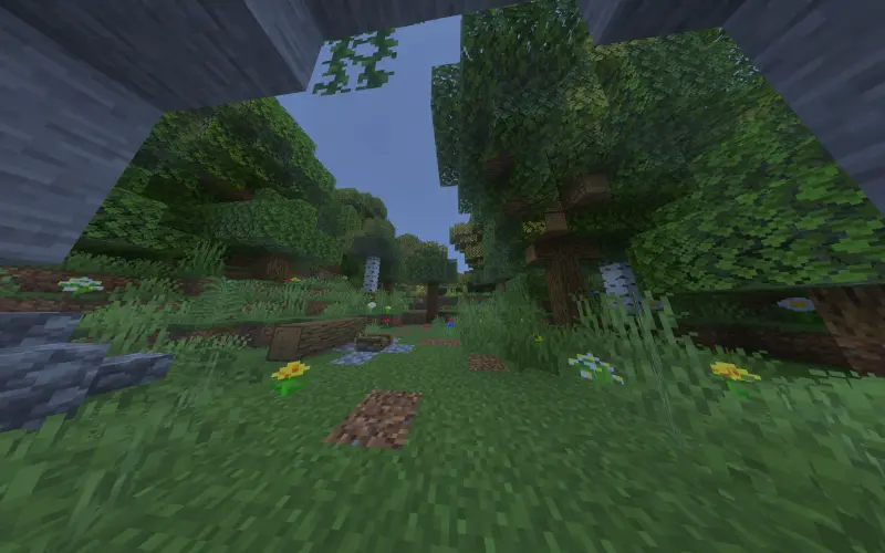 Forest on the surface