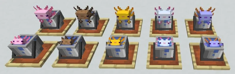 Улучшенные 3D ведра с аксолотлями