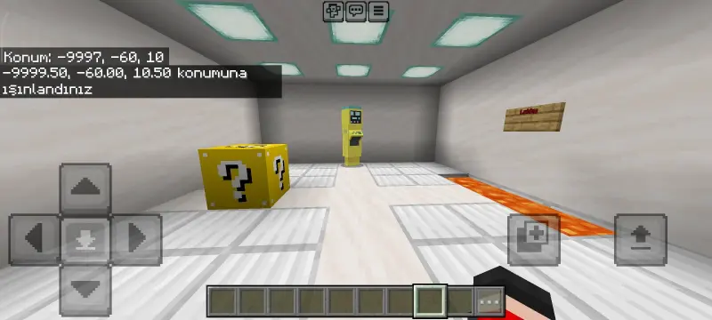 NPC на дороге